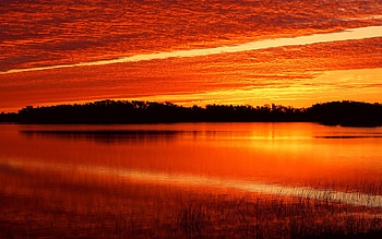 Red Twilight, night, breathing, plants, awesome, colors, drift, nice, twilight, background, trees, islands, sunshine, sunsets, sundown, multicolor, dawn, leaves, breeze, nature, leaf, , trunks, colorful, natural, graphy, ambar, coast, , colours, gold, day, amazing, , water, sun, golden, amber, sunrises, effects, beautiful, afternoon, orange, , sumbean, wind, multi-coloured, sunrays, air, eddy, red, hop, yellow, branches, cool, clouds, evening HD wallpaper