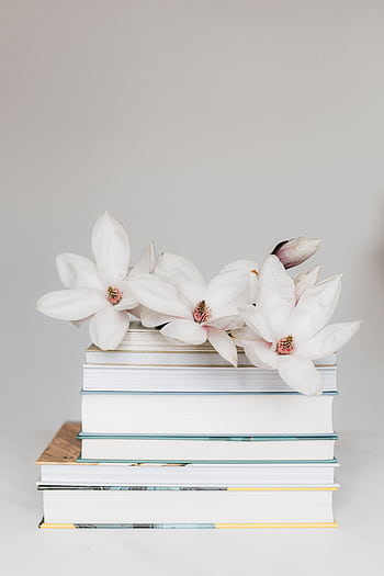 Elegant stack of books adorned with white magnolia flowers, creating a serene and minimalist aesthetic. HD phone wallpaper