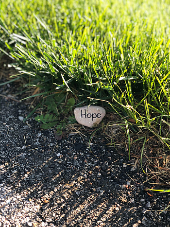 Grass, Rock, Words, Stone, Inscription, Hope HD phone wallpaper