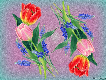 TULIPS, FLOWERS, TULIP, CREATION, ABSTRACT HD wallpaper