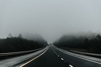 Nature, Road, Markup, Fog, Movement, Traffic, Asphalt HD wallpaper