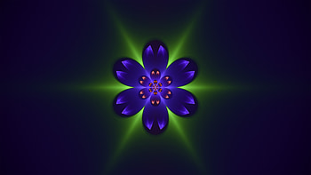 Abstract, Patterns, Flower, Shine, Brilliance, Fractal HD wallpaper