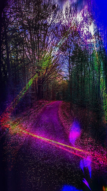 Forest, sky, magenta, street_light, beauty, color, nature, neon, street, tree, neo HD phone wallpaper