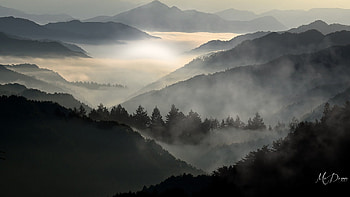 Into the Mist, Firefox theme, mist, fog, woods, trees, sky, mountains, forest HD wallpaper