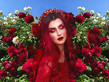 Delicate Roses, flowers, girl, deep red, colorful, blue, white, vibrant, roses, vivid, green, red, bright, bold HD wallpaper