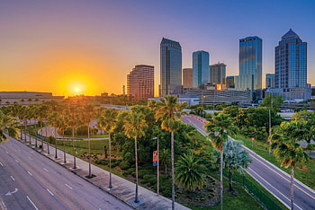Tampa Skyline, Sunset through palm tree HD wallpaper