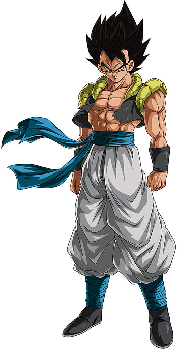 Dragonballz (Gogeta), art, cartoon HD phone wallpaper