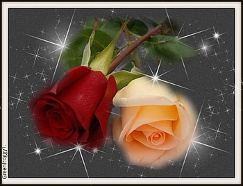 ROSE ART, ART, ROSES, ABSTRACT HD wallpaper