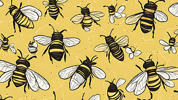 Bee, bee HD wallpaper