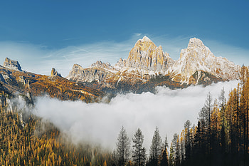 Mountain, nature, tree, snow HD wallpaper