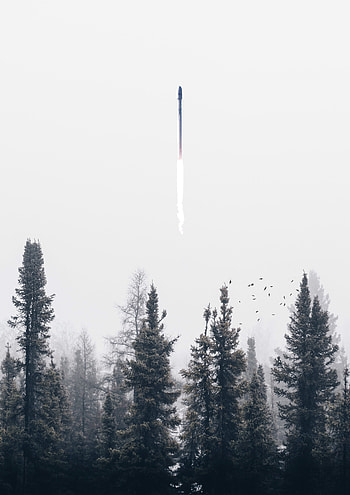 Trees, Smoke, Miscellanea, Miscellaneous, Fog, Rocket HD phone wallpaper