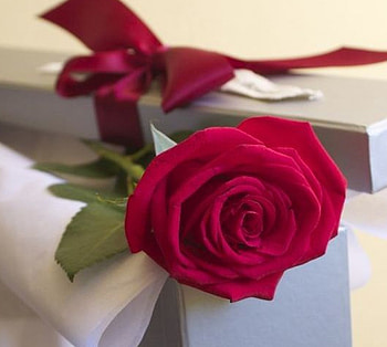 ღ❤ღ, rose, flower, red, beautiful, macro HD wallpaper
