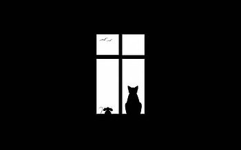 :-), pisica, white, black, mouse, window, bw, cat, minimalistic HD wallpaper