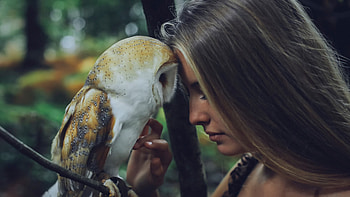Girl With Owl, girl, owl, graphy HD wallpaper