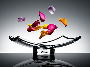 Dancing petals, dance, rose petals, aroma, colors, beauty, purple, pink, petals, yellow, perfume HD wallpaper