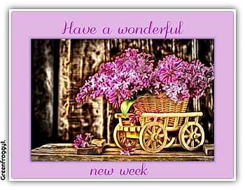 WONDERFUL WEEK, COMMENT, WEEK, CARD, WONDERFUL HD wallpaper