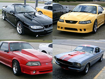 Fast Ponies, ford, mustang, pony cars, ponies HD wallpaper