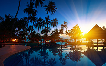Landscape, Sea, Palms HD wallpaper