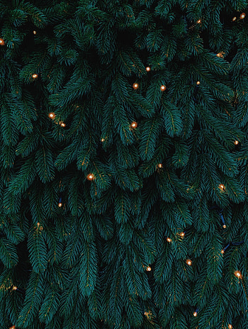 Holidays, New Year, Christmas, Christmas Tree, Garland, Garlands HD phone wallpaper