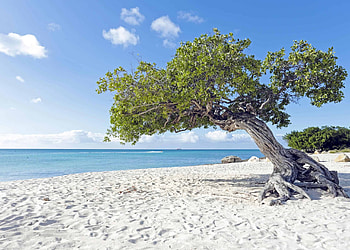 Aruba Island, Travels, Caribbean poster, Artsy Bucket HD wallpaper