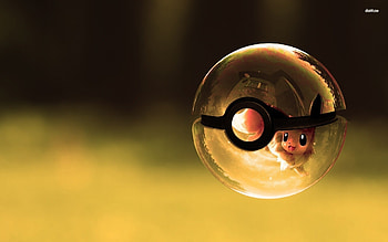 Pokeball - 447942 HD wallpaper