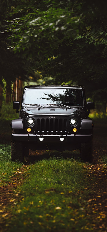 Black Jeep Forest Wrangler , Stealthy beast, Nature's playground, Unstoppable force HD phone wallpaper