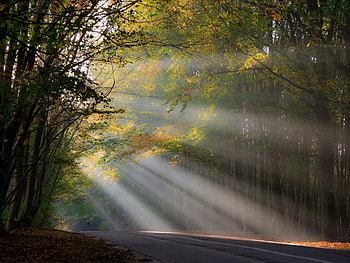 Landscape, Roads HD wallpaper