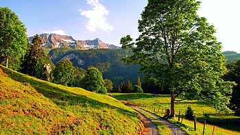 Preview switzerland, mountains, alps, road, summer HD wallpaper