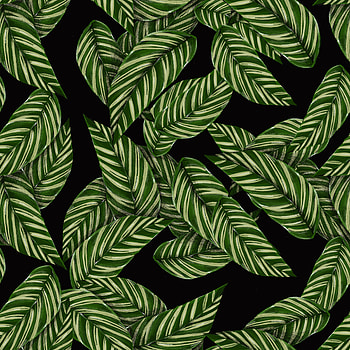Leaves, Patterns, Texture, Textures HD phone wallpaper