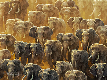 Elephants, art, yellow, elephant, animal, fantasy, artem chebokha HD wallpaper