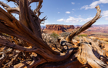 Plateaus and pinion pines, UT, clouds, landscape, sky, rocks, usa HD wallpaper
