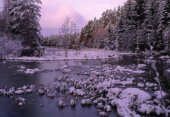 Winter morning., other, winter, nature, sunrise HD wallpaper