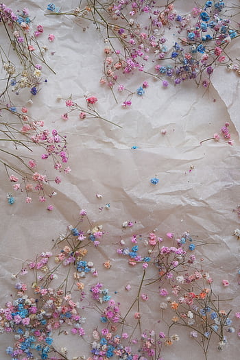 Aesthetic arrangement of colorful dried flowers scattered on crumpled paper, featuring a pastel palette. HD phone wallpaper