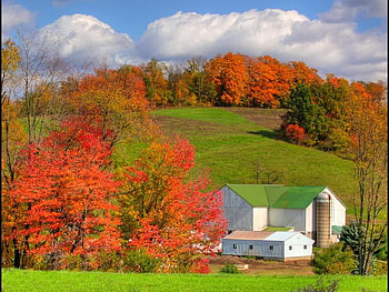 Autumn Landscape, trees, autumn, grass, sky HD wallpaper
