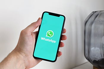 Close-up of a hand holding a smart displaying the WhatsApp app screen. HD wallpaper