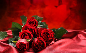 Roses, Flower Bouquet HD wallpaper