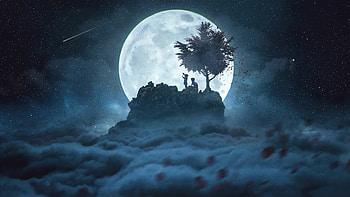 Moonlight magic, Tranquil nights, Celestial beauty, Serene ambiance HD wallpaper
