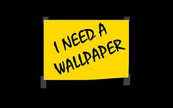 Funny, , black, yellow HD wallpaper