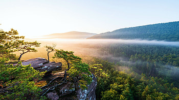 Palatinate Forest, Germany, sunrise, mist, hills, landscape, trees, sky, sun HD wallpaper