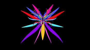 Colorful Bug Minimal Dark , dark, black, artstation HD wallpaper