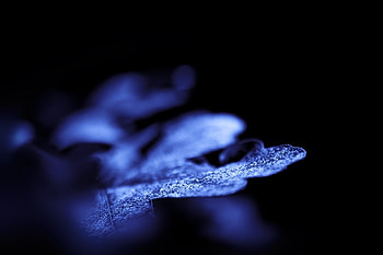 Blue, texture, black, abstract HD wallpaper