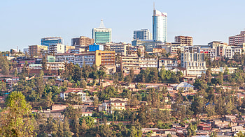 Rwanda travels, Gorilla trekking, Gold package, Rwanda experience HD wallpaper