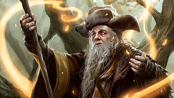 Guardians of Middle Earth , Radagast the Brown, Battle for Middle Earth, Heroic and legendary HD wallpaper