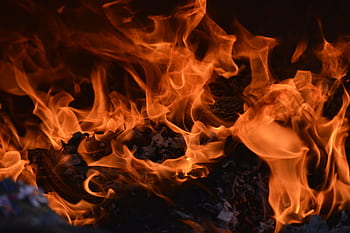 Captivating of a blazing fire, showcasing intense orange flames and glowing embers. HD wallpaper