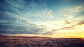 field, dawn, sky, beautiful scenery HD wallpaper