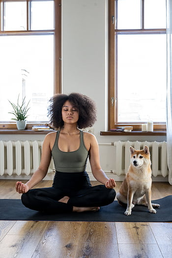 A woman practices yoga meditation at home with her dog, creating a calm and peaceful environment. HD phone wallpaper