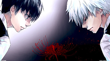 Anime - Tokyo Ghoul Ken Kaneki HD wallpaper