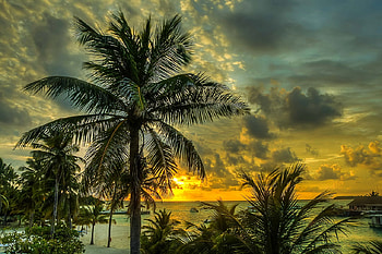 Sunset in Cuba, cuba, palm trees, ocean, sunset HD wallpaper