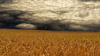 Landscape, Fields, Clouds HD wallpaper