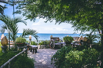 Serene garden overlooking a calm ocean view, framed by lush greenery and rustic benches. HD wallpaper